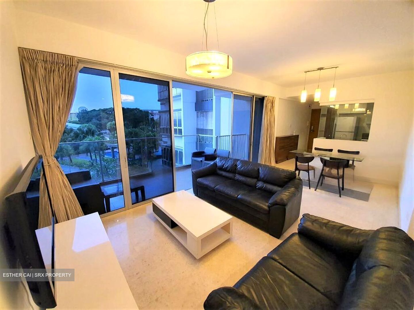 The Parc Condominium (D5), Condominium #464382951